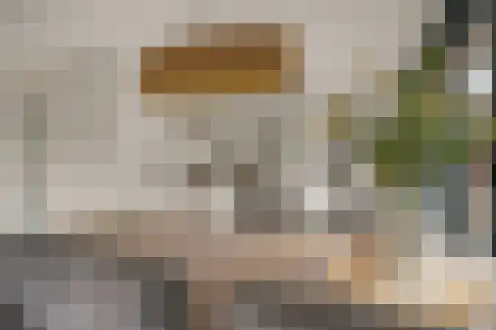 Beekhoek 2 Achterveld thumbnail 13