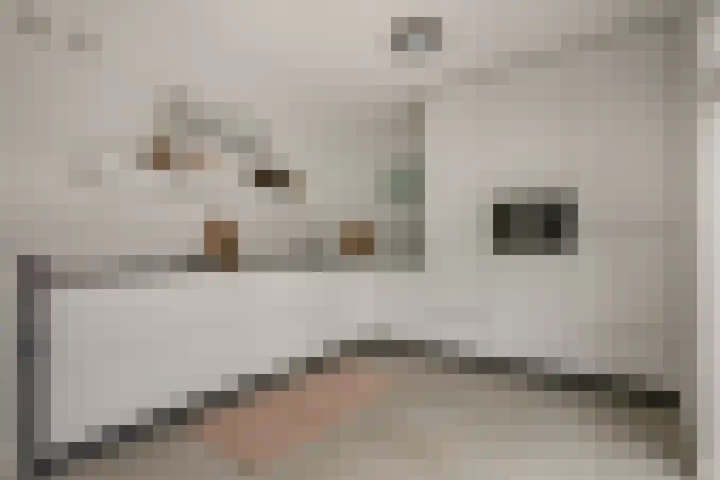 Beekhoek 2 Achterveld thumbnail 13