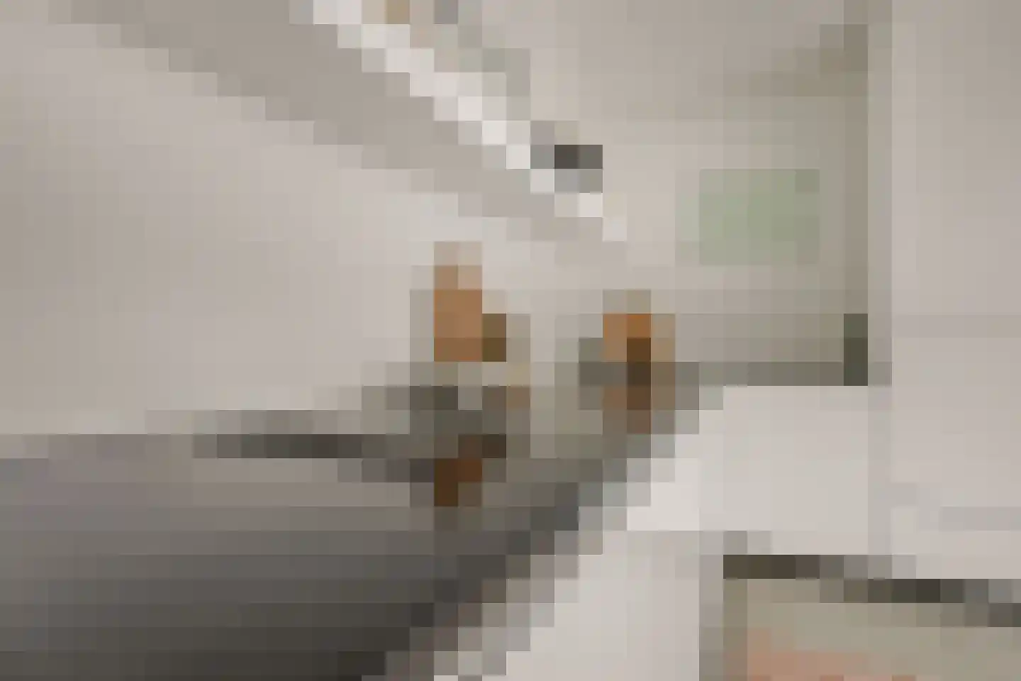 Beekhoek 2 Achterveld thumbnail 14