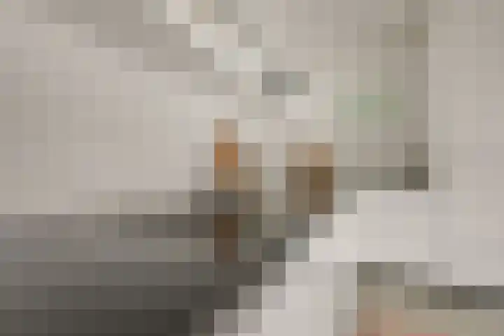 Beekhoek 2 Achterveld thumbnail 15