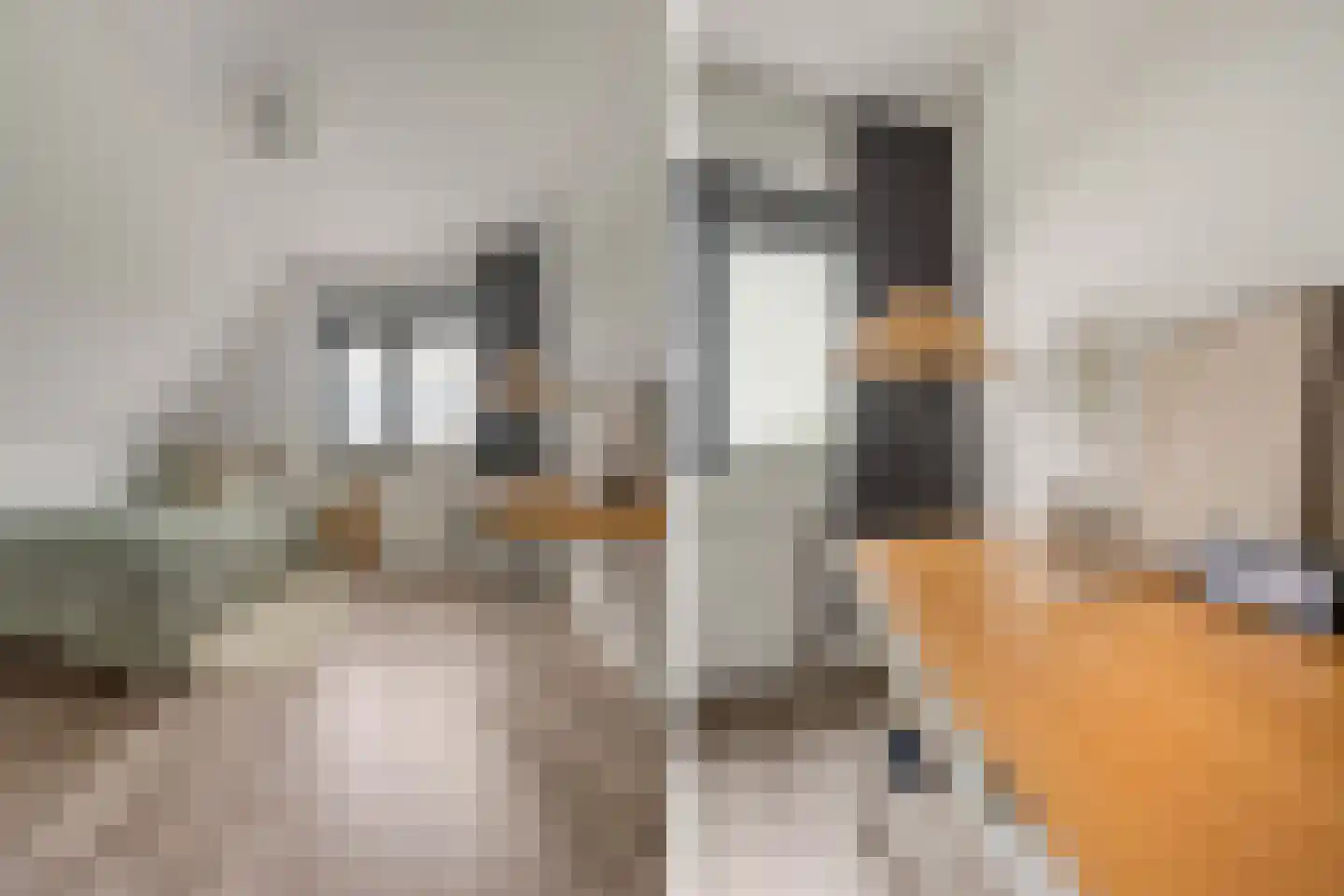 Beekhoek 2 Achterveld thumbnail 18