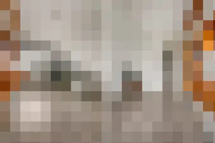 Beekhoek 2 Achterveld thumbnail 19