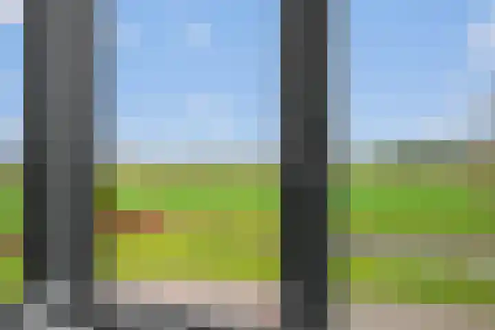 Beekhoek 2 Achterveld thumbnail 20