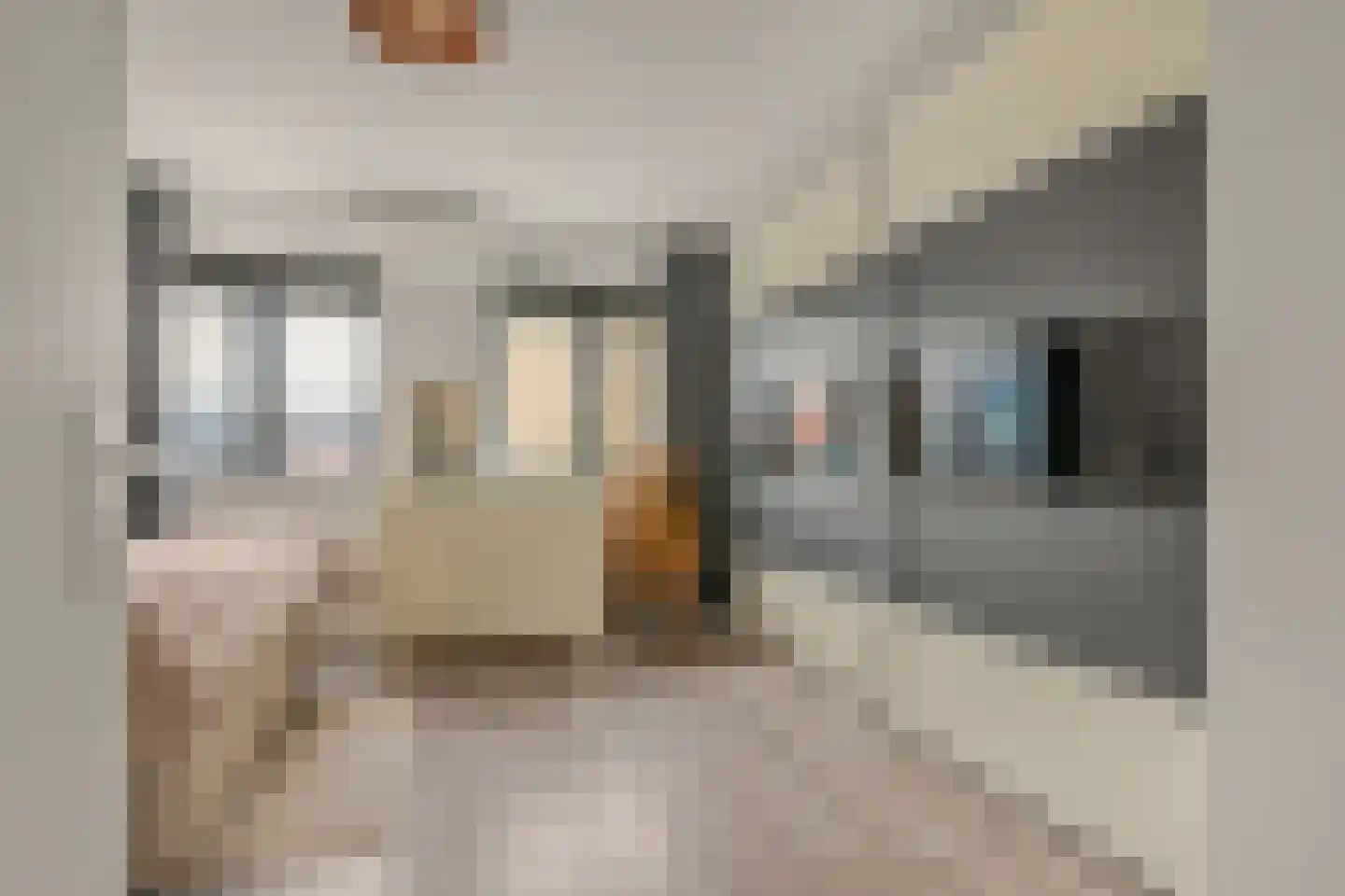 Beekhoek 2 Achterveld thumbnail 21