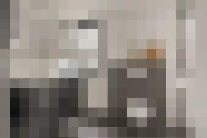 Beekhoek 2 Achterveld thumbnail 22