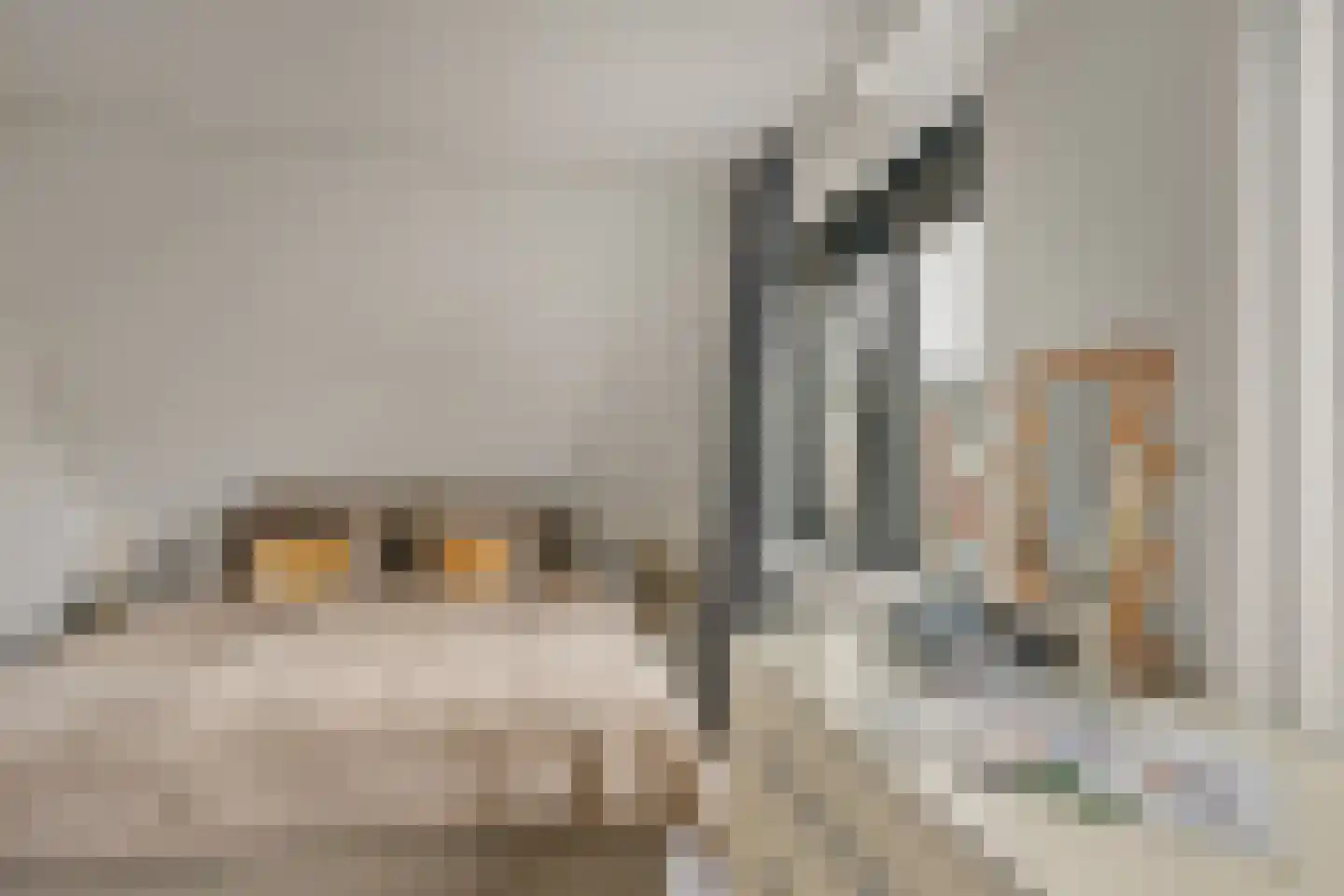 Beekhoek 2 Achterveld thumbnail 23