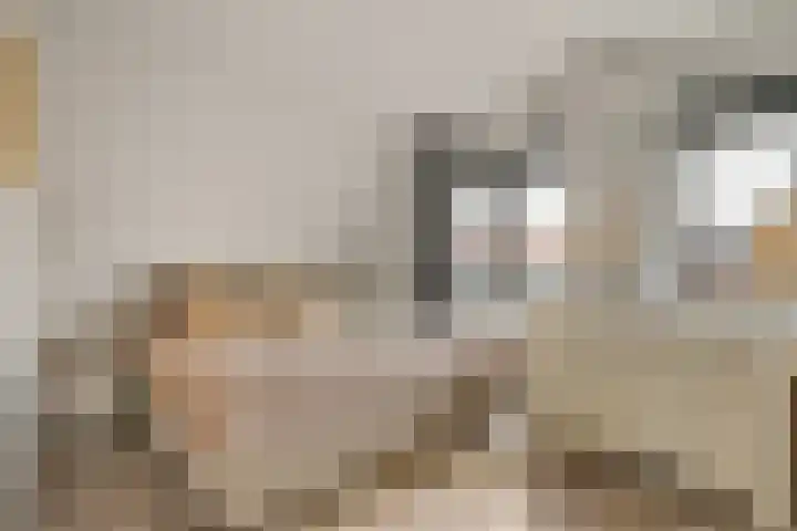 Beekhoek 2 Achterveld thumbnail 25