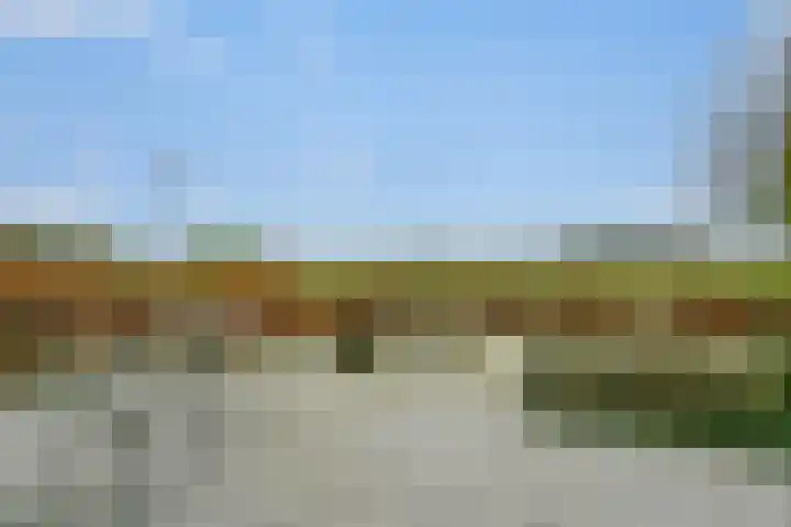 Beekhoek 2 Achterveld thumbnail 31