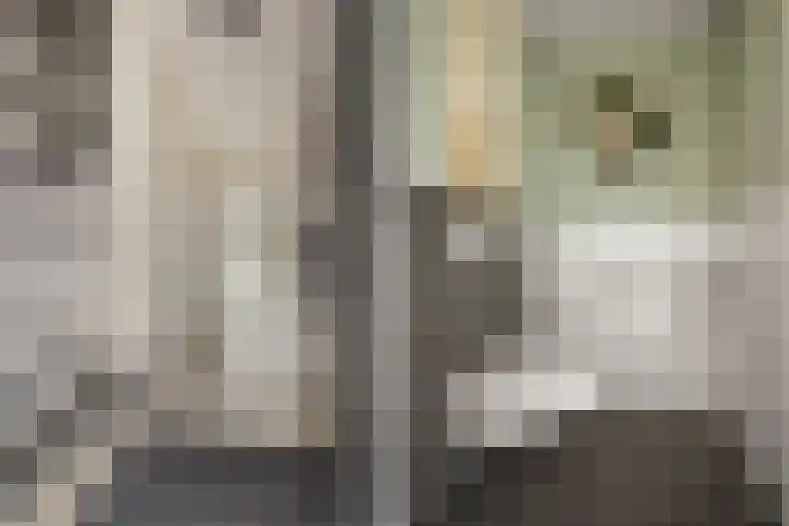 Beekhoek 2 Achterveld thumbnail 6