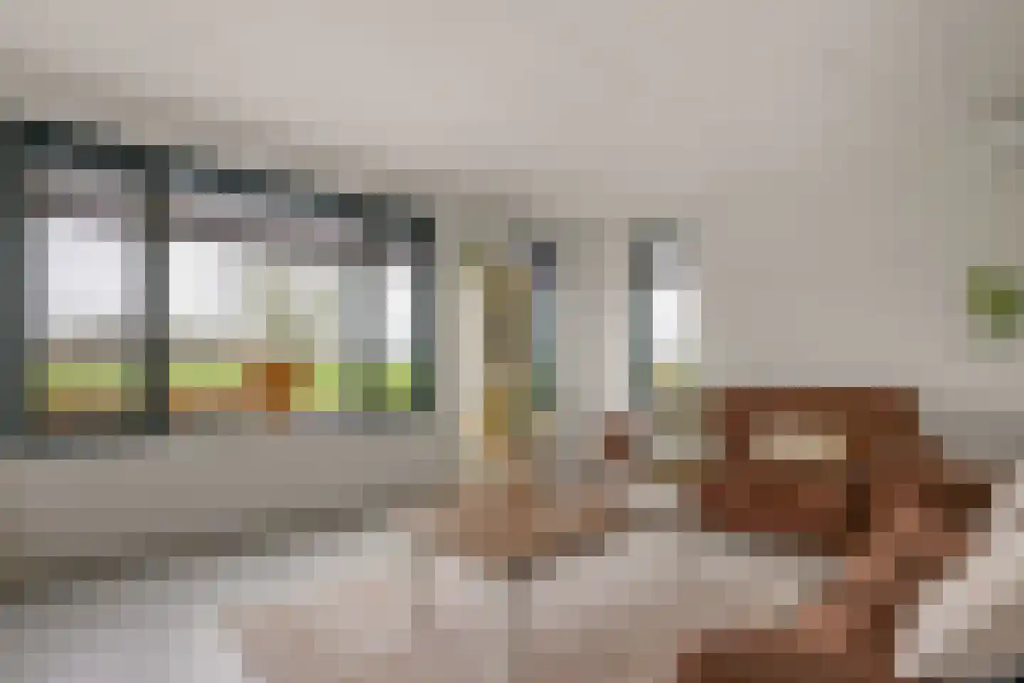 Beekhoek 2 Achterveld thumbnail 8