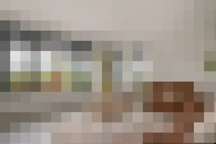 Beekhoek 2 Achterveld thumbnail 9