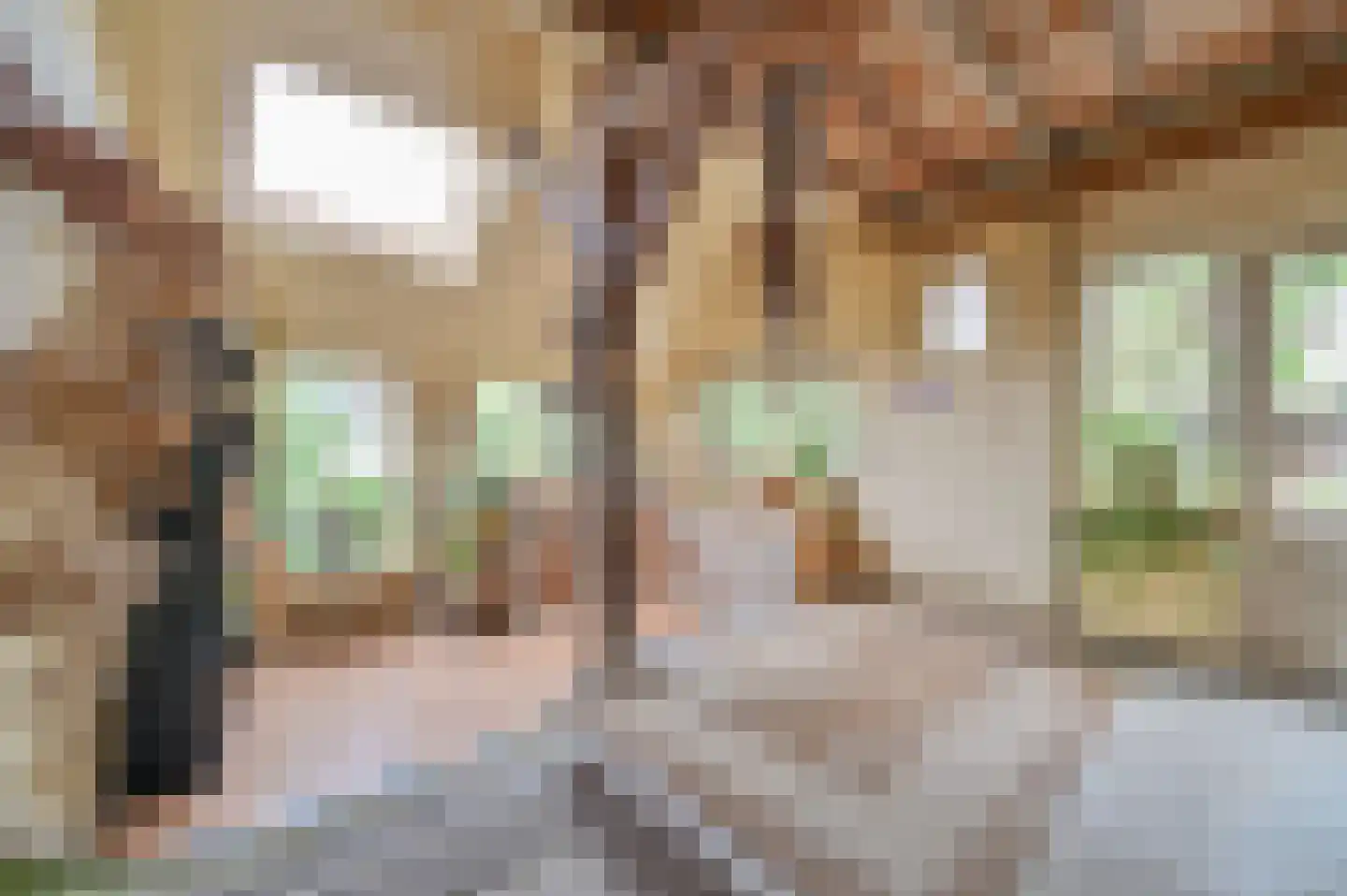 Beekhoekweg 19 Lunteren thumbnail 24