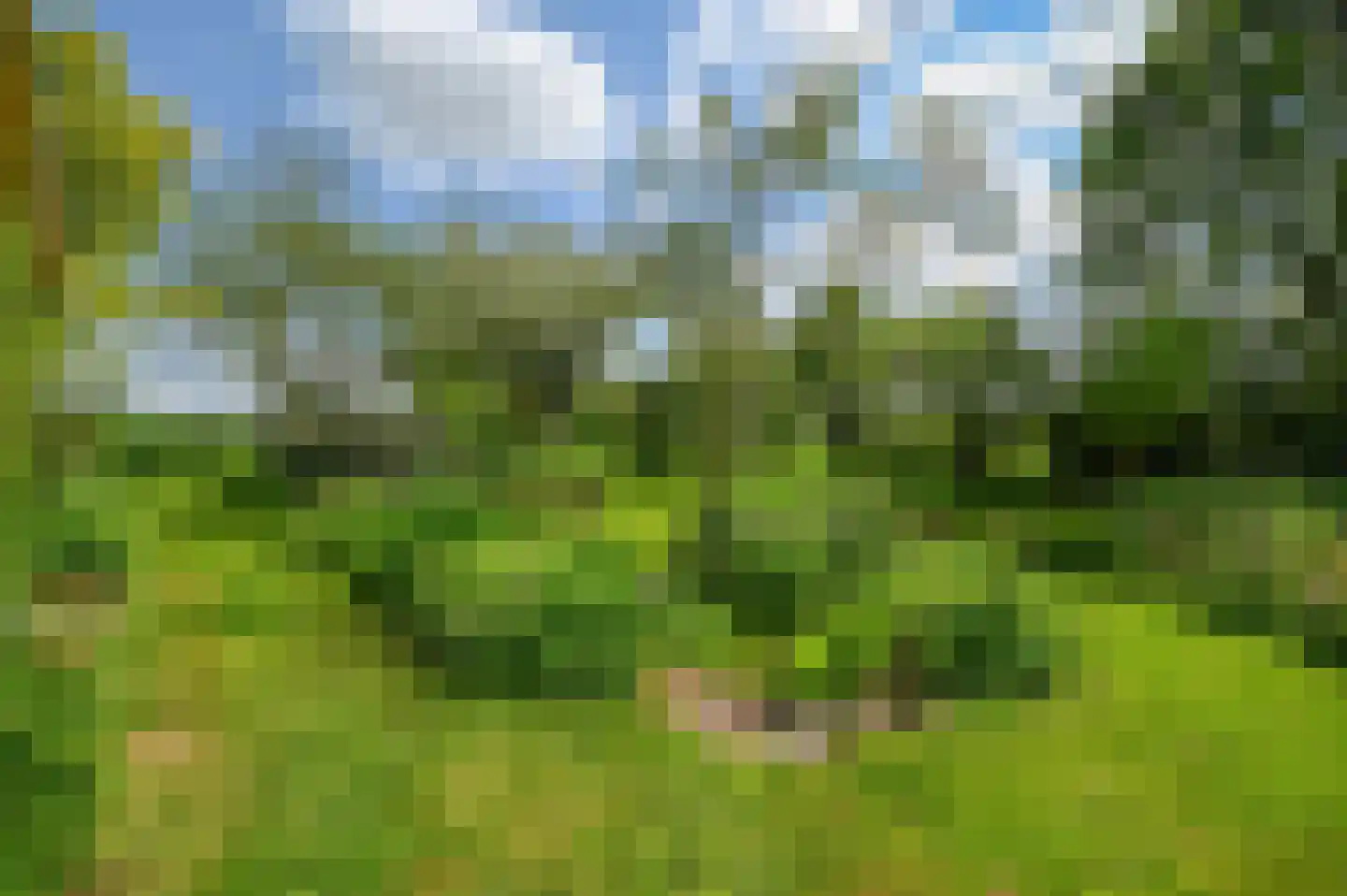 Beekhoekweg 19 Lunteren thumbnail 43