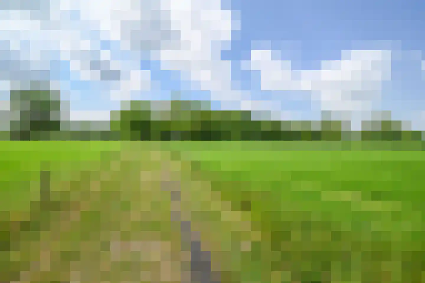 Beekhoekweg 19 Lunteren thumbnail 45
