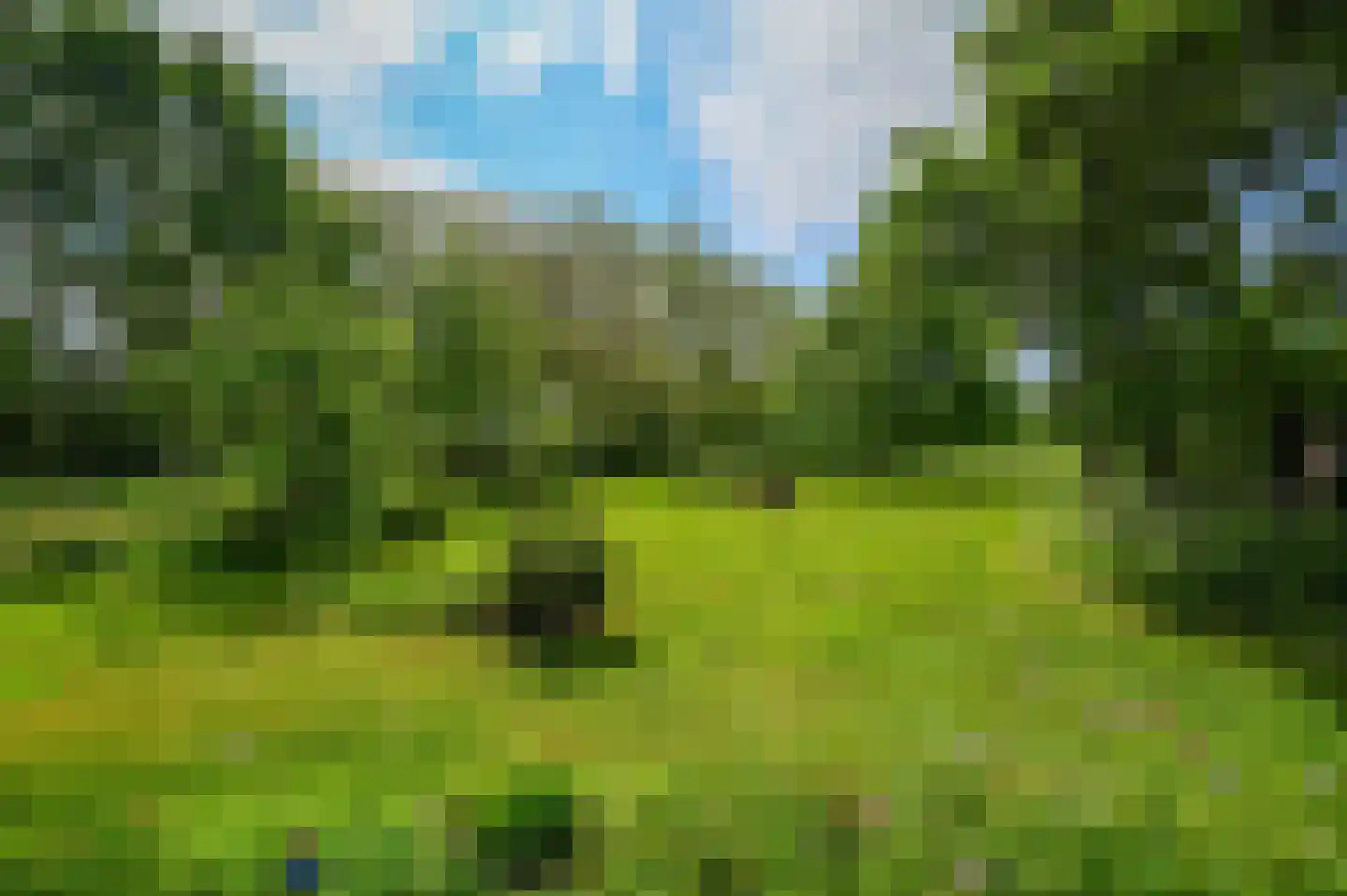 Beekhoekweg 19 Lunteren thumbnail 46