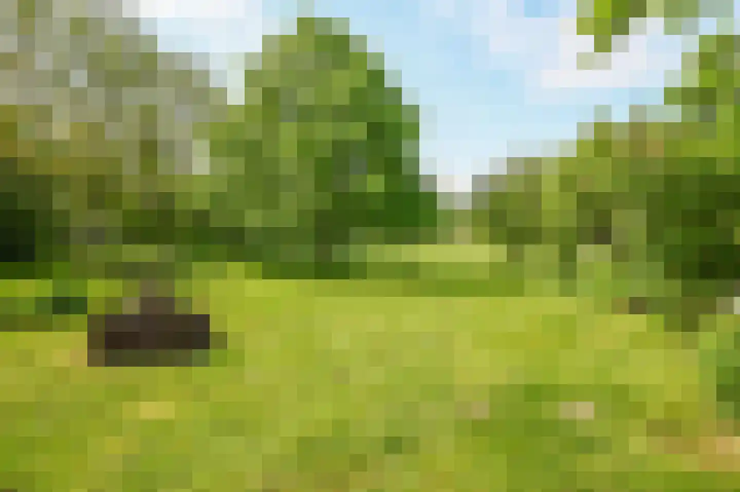Beekhoekweg 19 Lunteren thumbnail 47