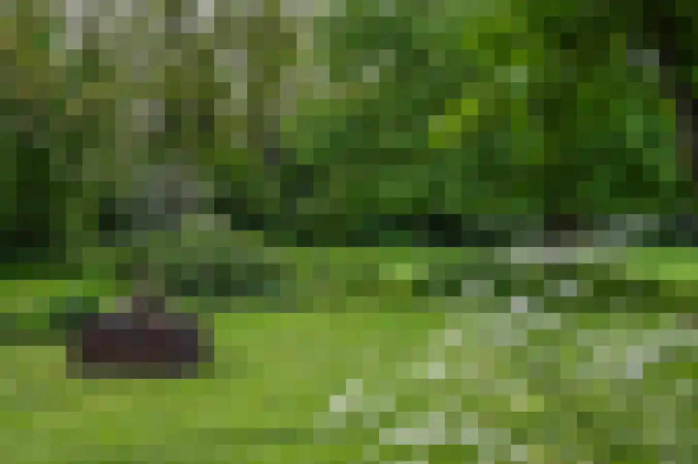 Beekhoekweg 19 Lunteren thumbnail 48