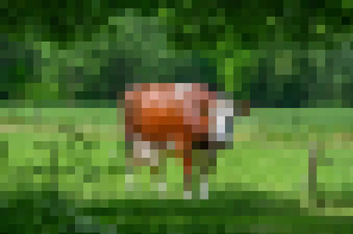 Beekhoekweg 19 Lunteren thumbnail 49