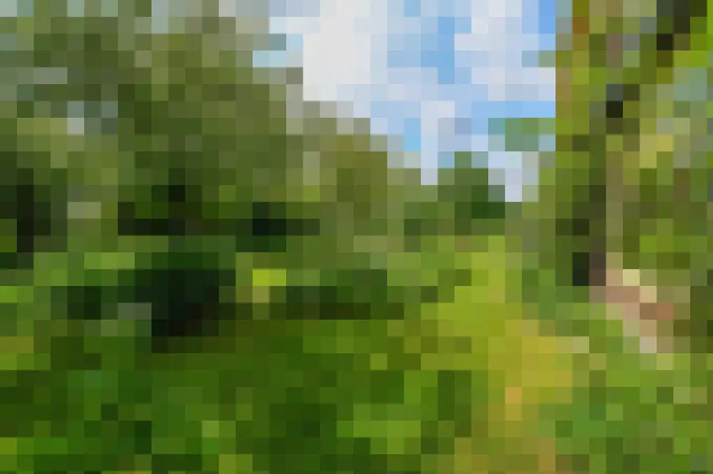 Beekhoekweg 19 Lunteren thumbnail 52