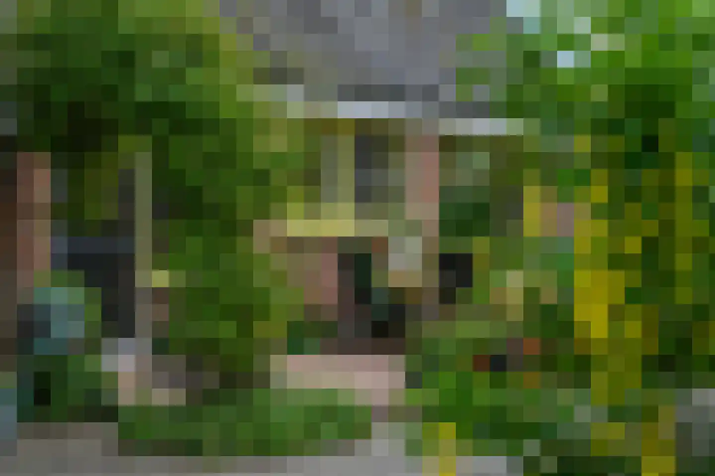 Beekhoekweg 19 Lunteren thumbnail 8