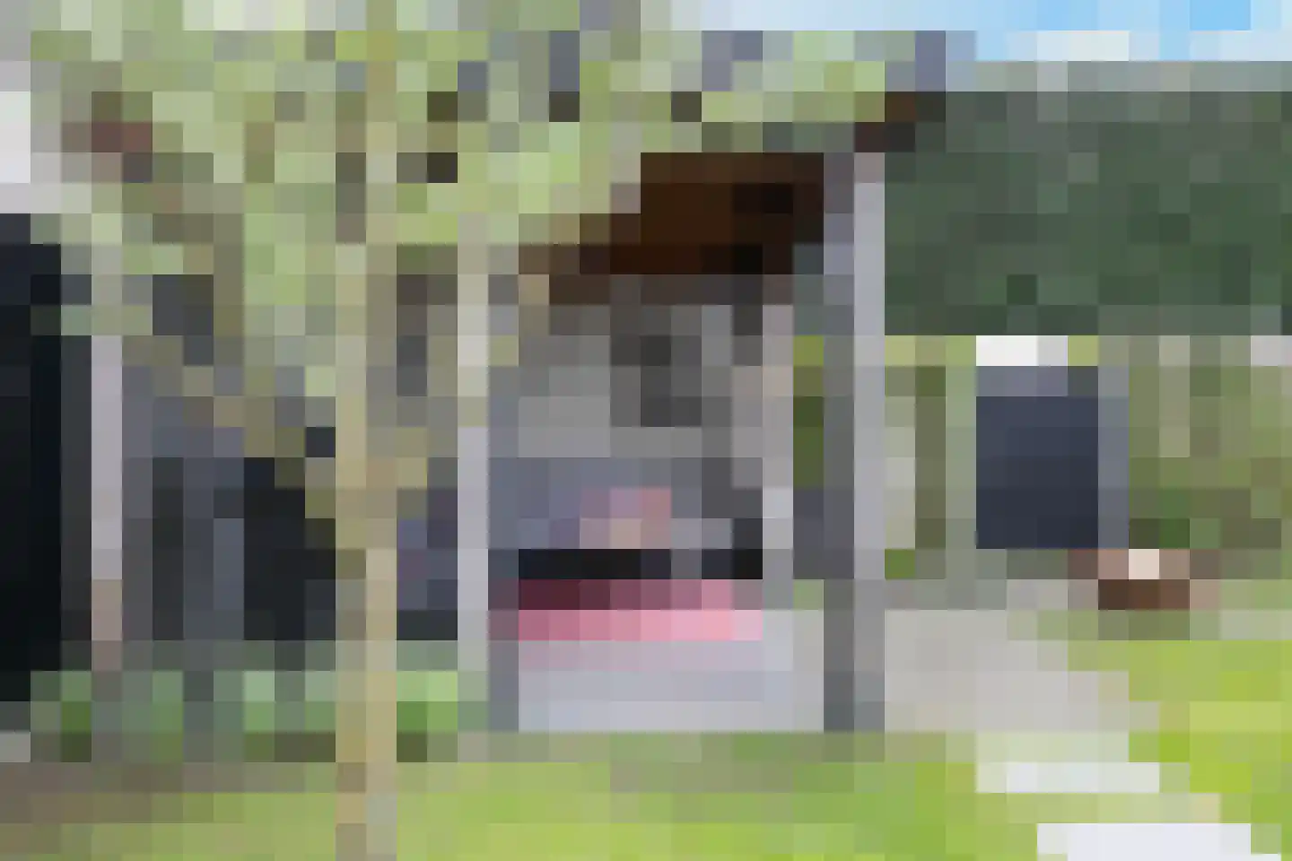 Beekhof 1 Hoevelaken thumbnail 49