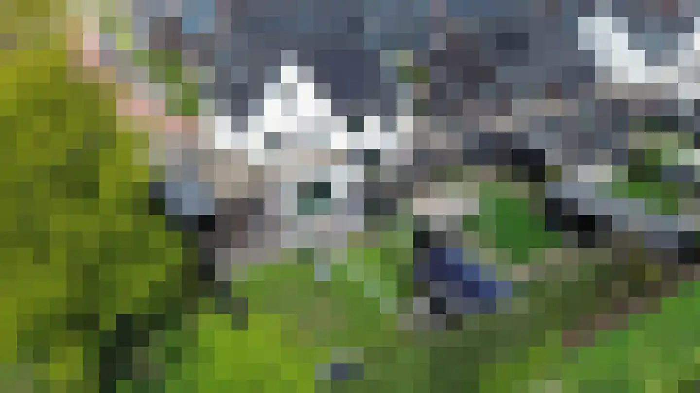 Beekhof 1 Hoevelaken thumbnail 54