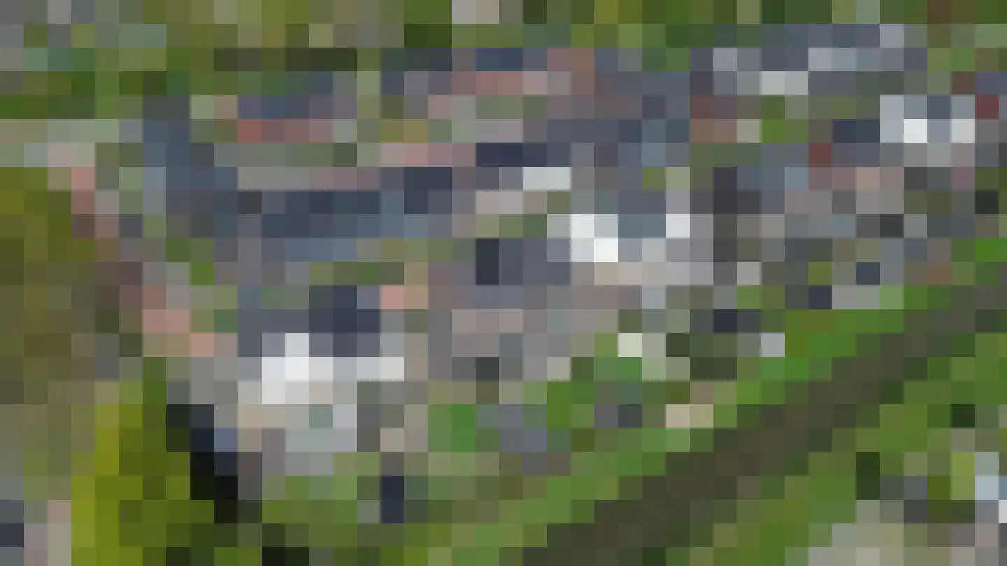 Beekhof 1 Hoevelaken thumbnail 55