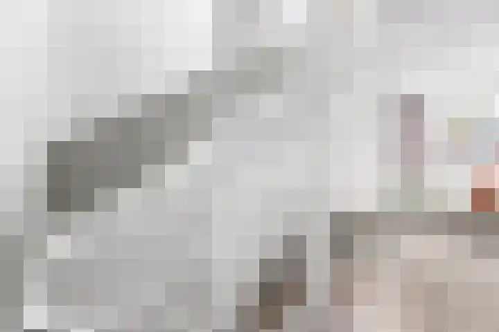 Beekhof 22 Hoevelaken thumbnail 26