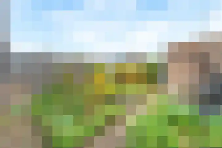 Beekhof 22 Hoevelaken thumbnail 29
