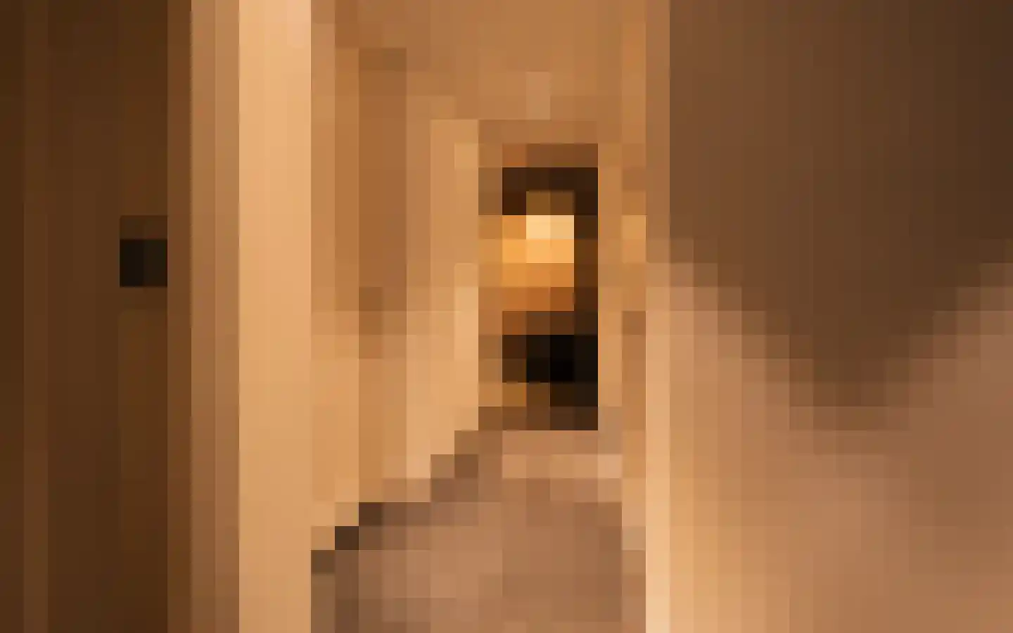 Beekhoven 7 Nijkerk thumbnail 41