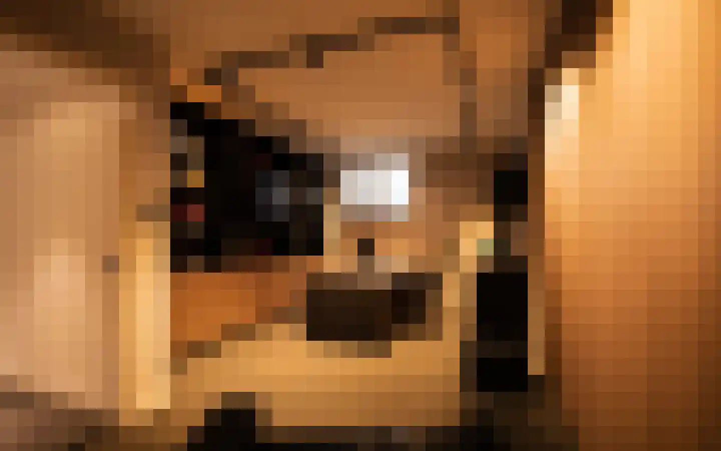 Beekhoven 7 Nijkerk thumbnail 42
