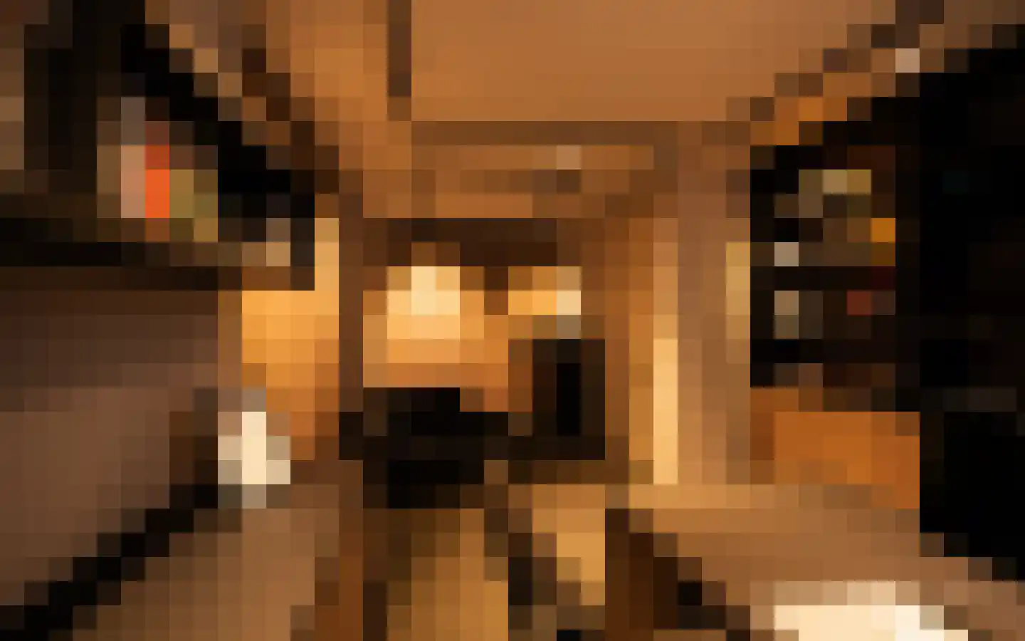 Beekhoven 7 Nijkerk thumbnail 46