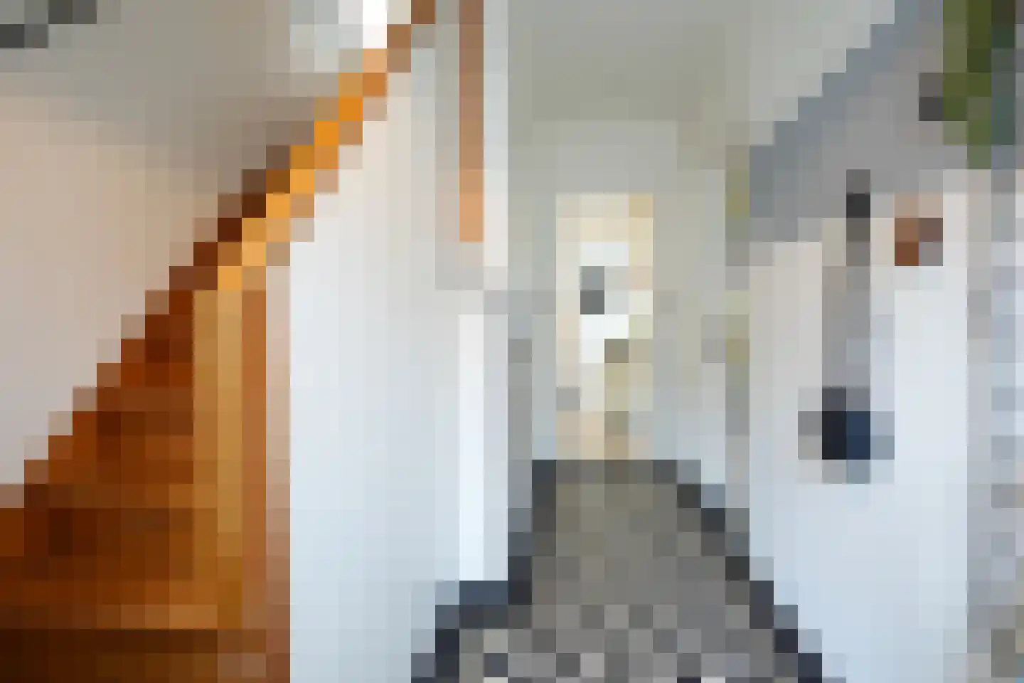 Beekhoverstraat 26 Geleen thumbnail 21