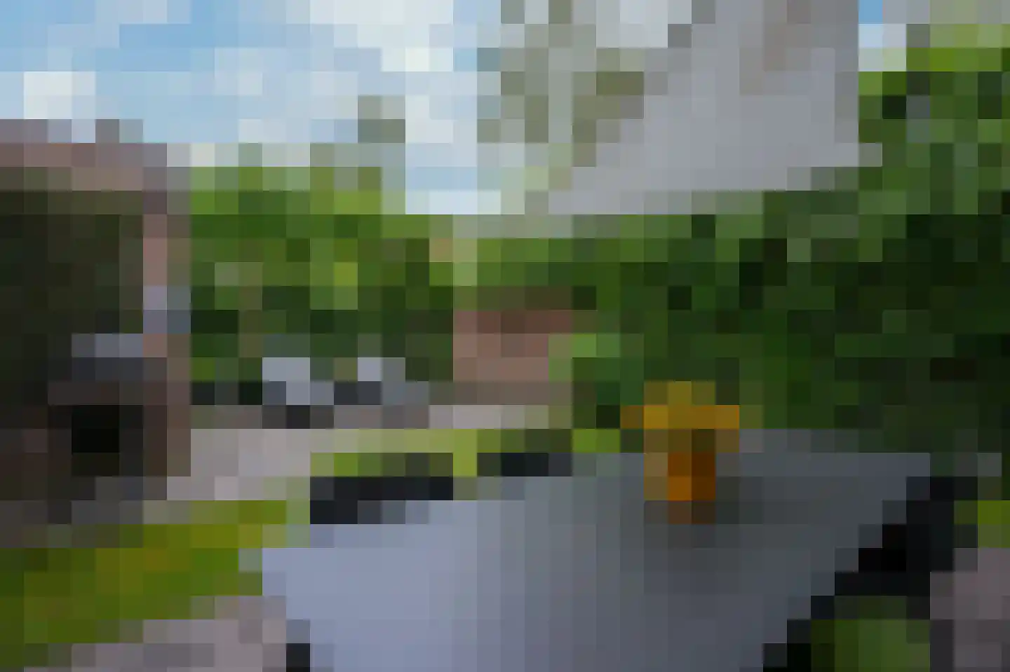 Beekhoverstraat 26 Geleen thumbnail 33