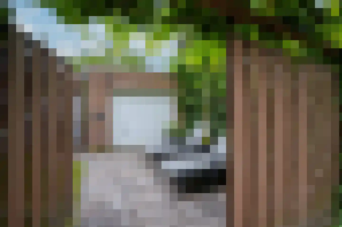Beekhoverstraat 26 Geleen thumbnail 38