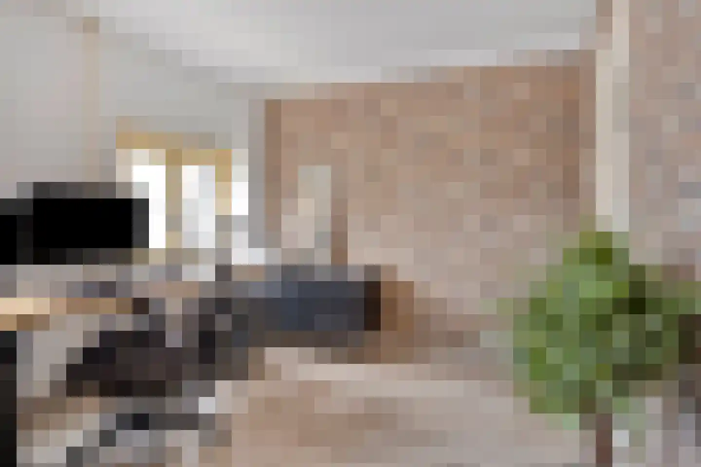 Beekhoverstraat 3 A Geleen thumbnail 25