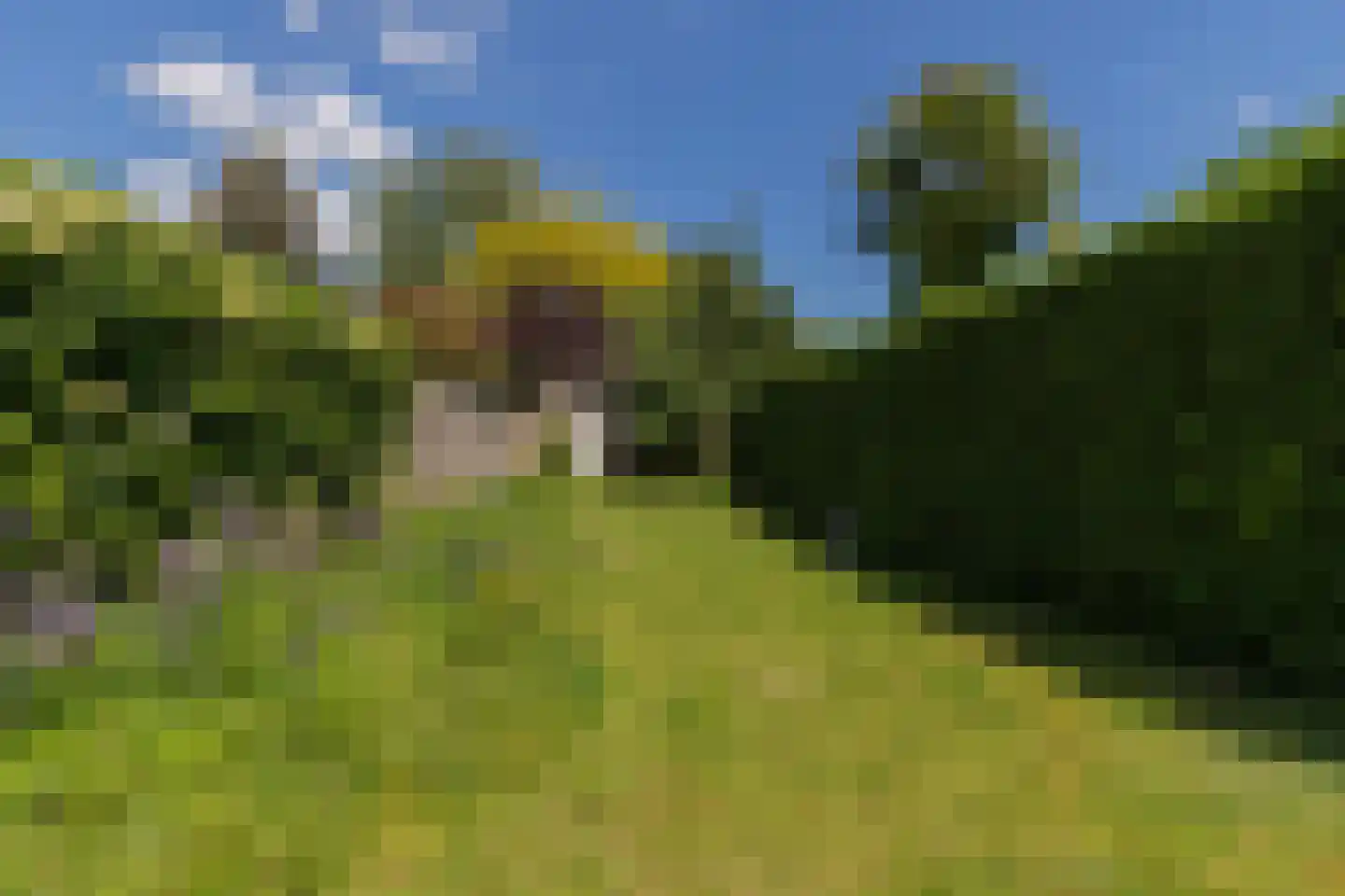 Beekhoverstraat 3 A Geleen thumbnail 45