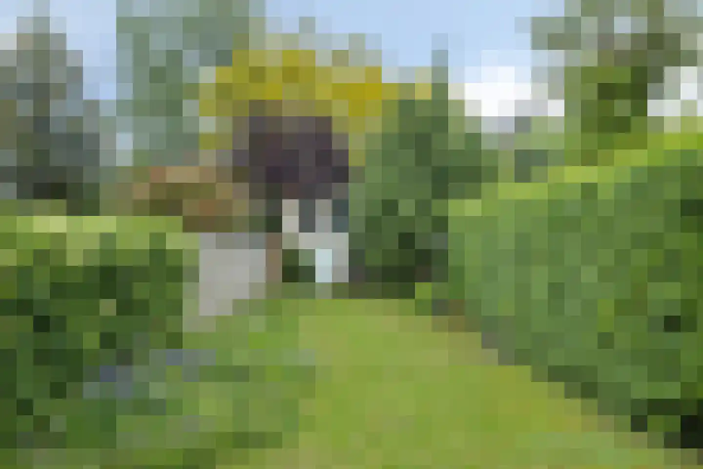 Beekhoverstraat 3 A Geleen thumbnail 45