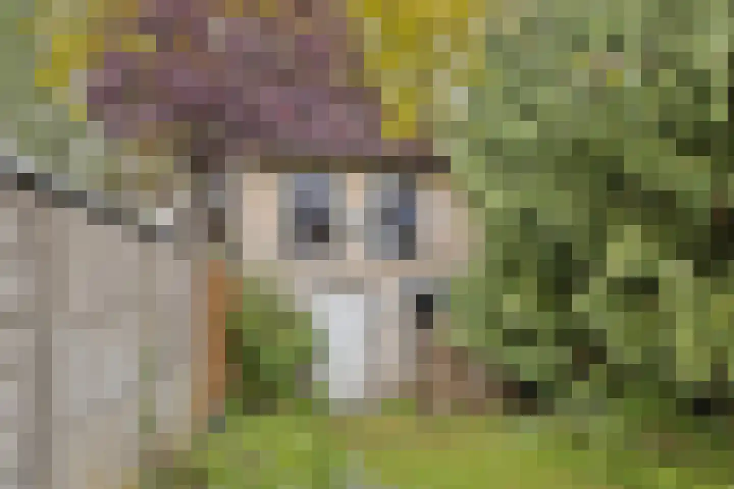 Beekhoverstraat 3 A Geleen thumbnail 46