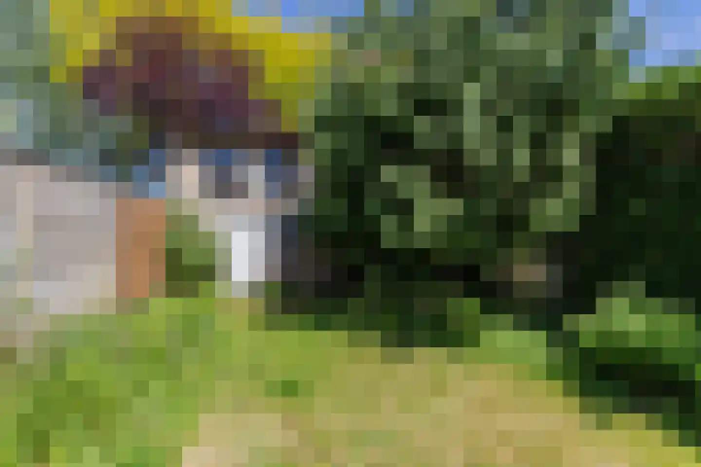 Beekhoverstraat 3 A Geleen thumbnail 46