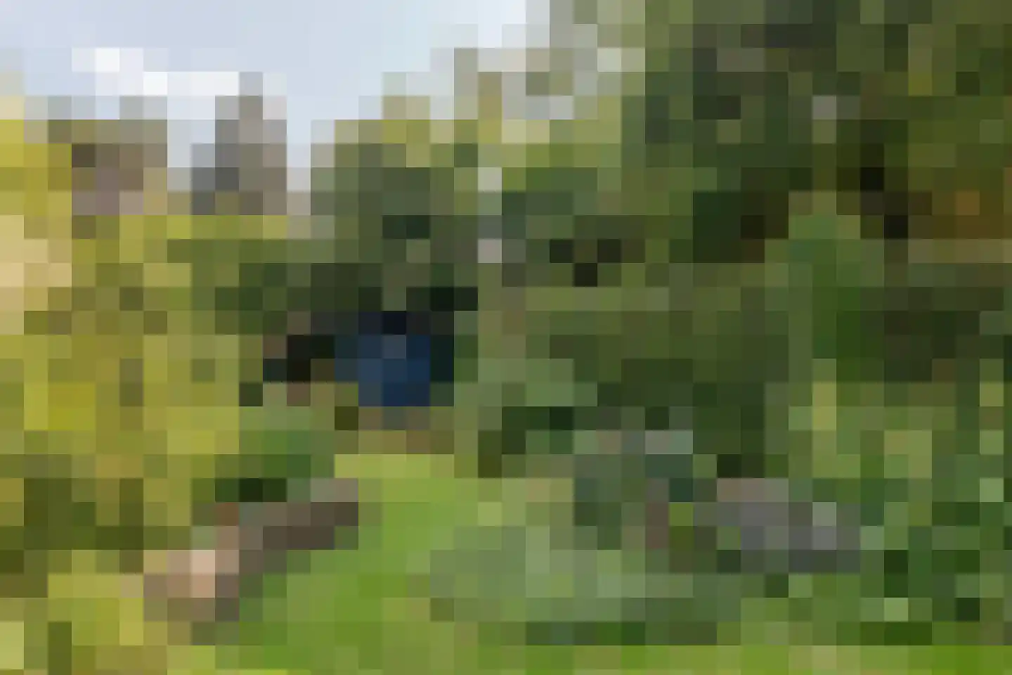 Beekhoverstraat 85 Geleen thumbnail 31