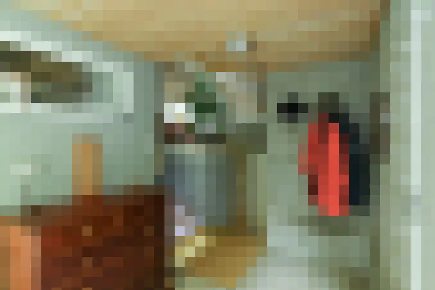 Beekhuizenseweg 1 a Velp thumbnail 10