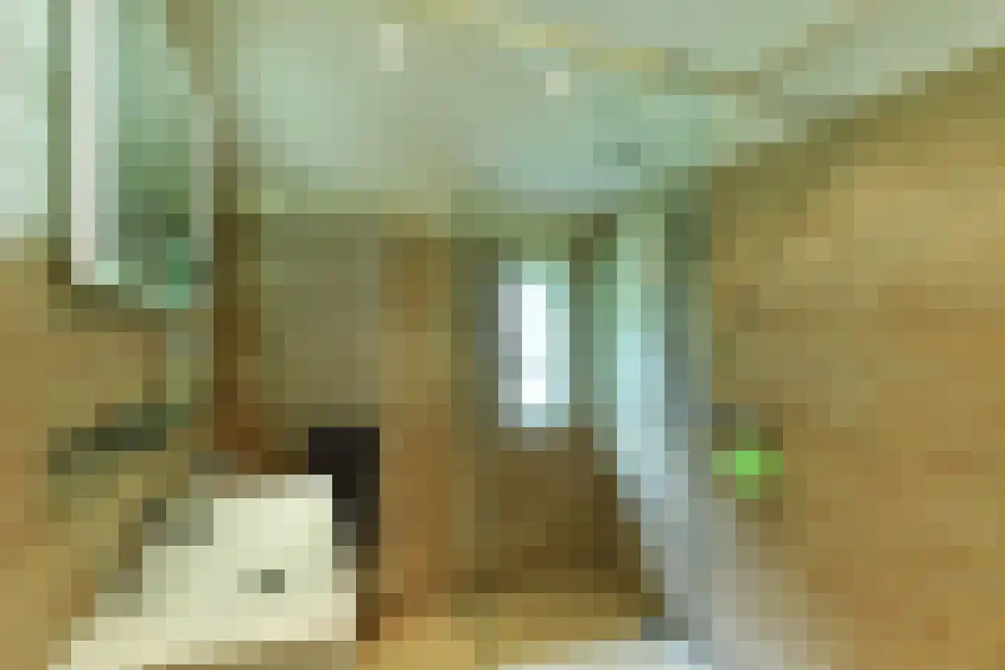 Beekhuizenseweg 1 a Velp thumbnail 32