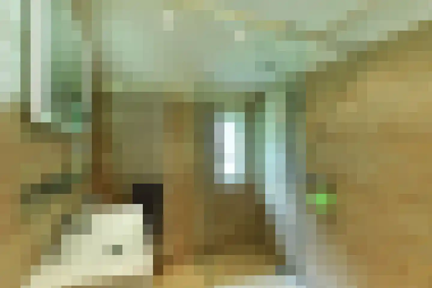 Beekhuizenseweg 1 a Velp thumbnail 33