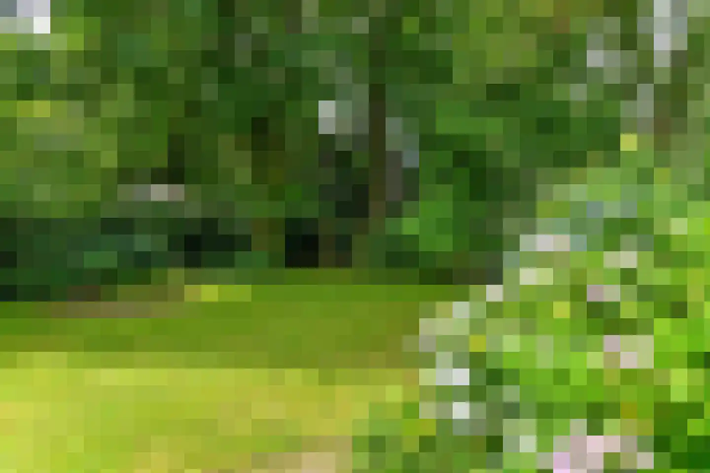 Beekhuizenseweg 1 a Velp thumbnail 4
