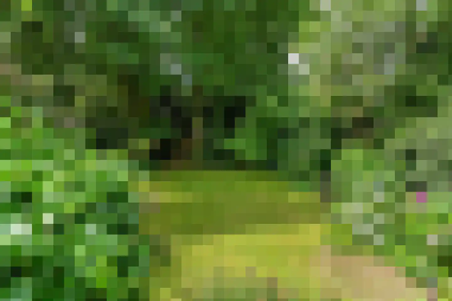 Beekhuizenseweg 1 a Velp thumbnail 47