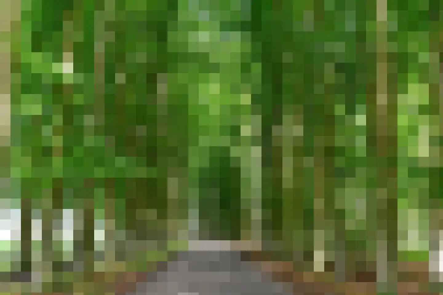 Beekhuizenseweg 1 a Velp thumbnail 54