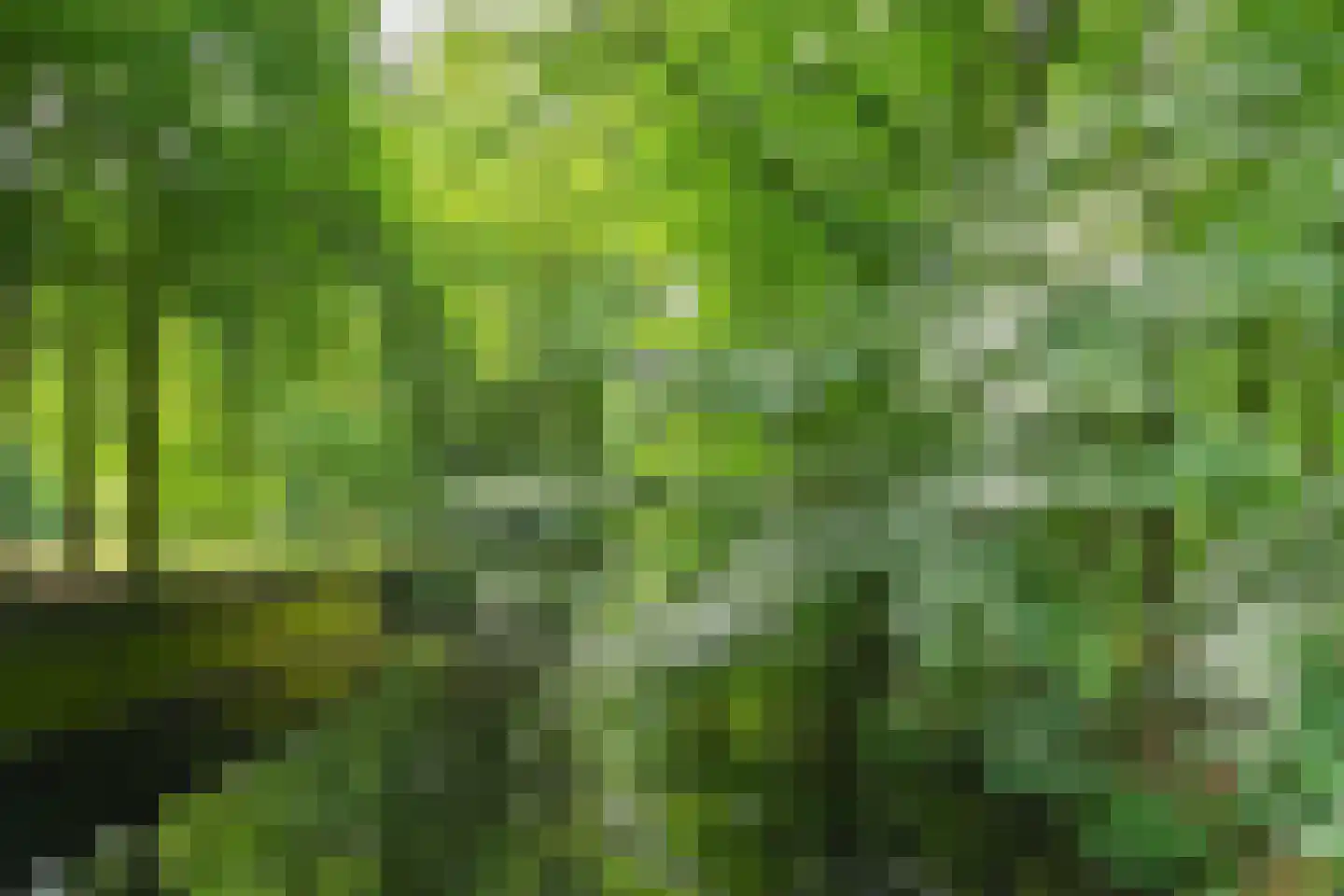 Beekhuizenseweg 1 a Velp thumbnail 57