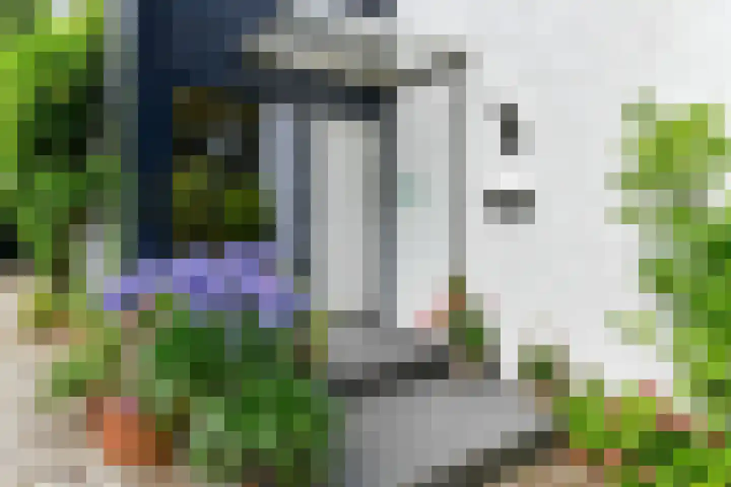 Beekhuizenseweg 1 a Velp thumbnail 8