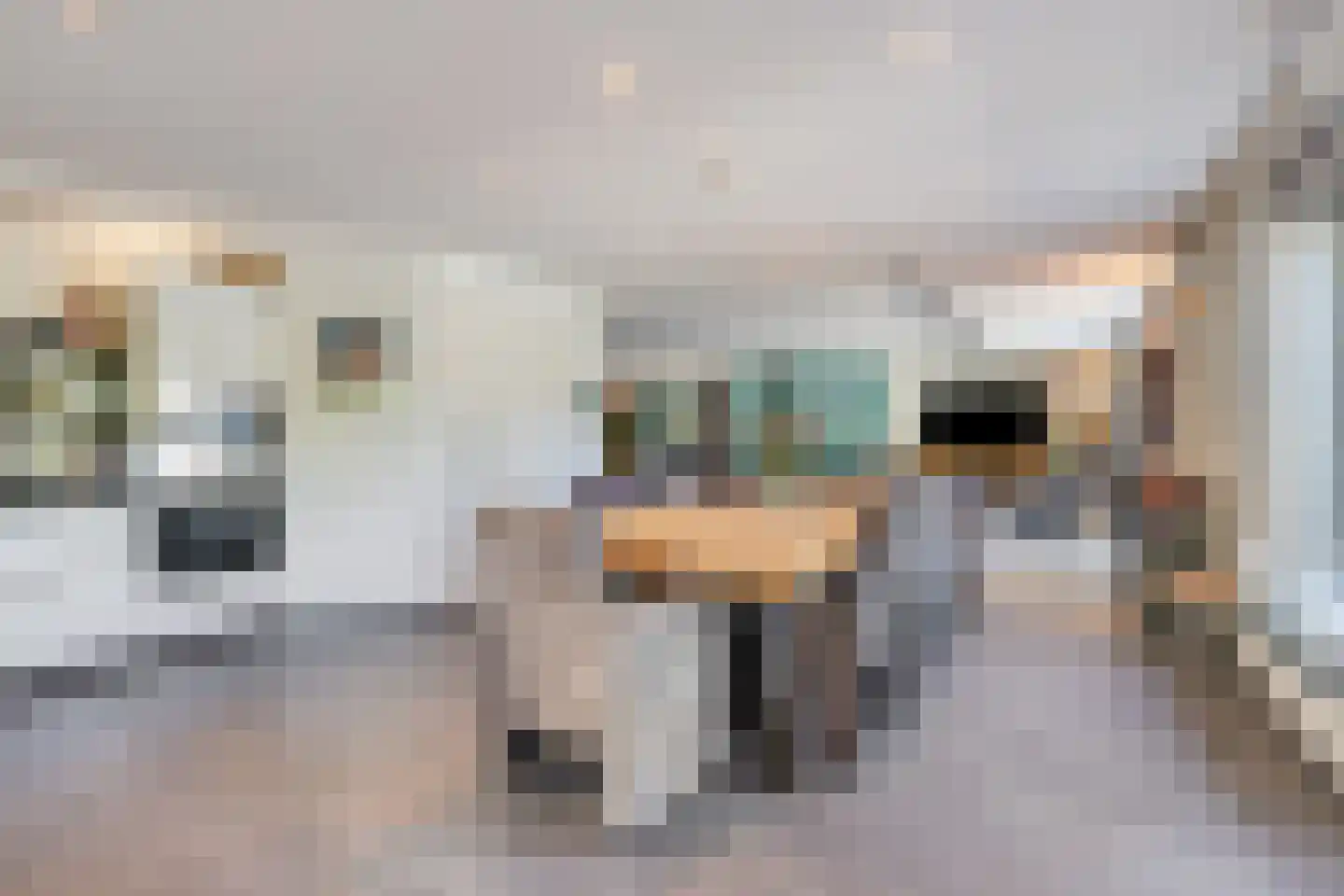 Beekhuizenseweg 17 Velp thumbnail 17